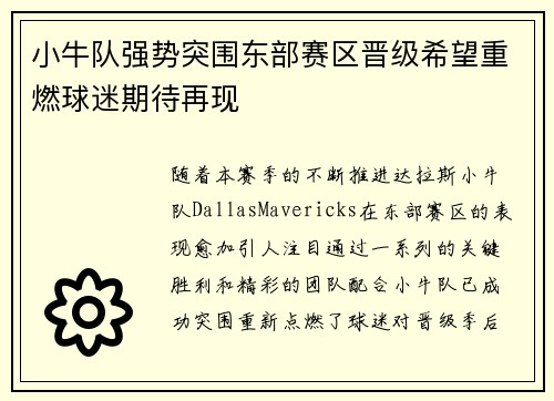 小牛队强势突围东部赛区晋级希望重燃球迷期待再现