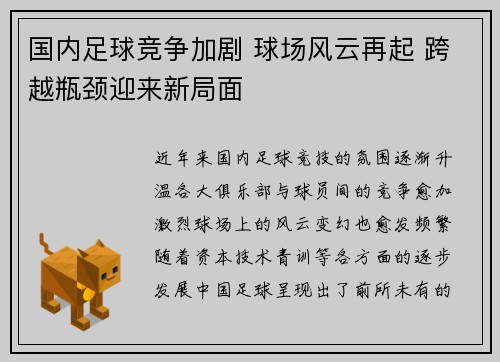 国内足球竞争加剧 球场风云再起 跨越瓶颈迎来新局面