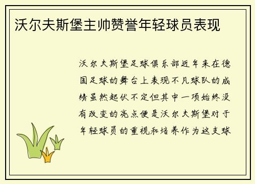 沃尔夫斯堡主帅赞誉年轻球员表现